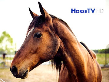 Horse TV HD dołącza do Tivùsat