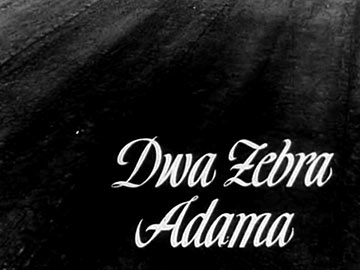 dwa żebra adama 1963 polski film przewodnik po polskich filmach 360px.jpg
