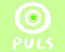 TV Puls zielone logo