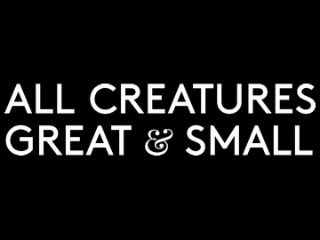 Epic Drama „Wszystkie stworzenia duże i małe”