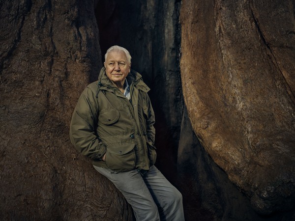 David Attenborough w programie „Zielona planeta”, foto: Sam Barker/BBC
