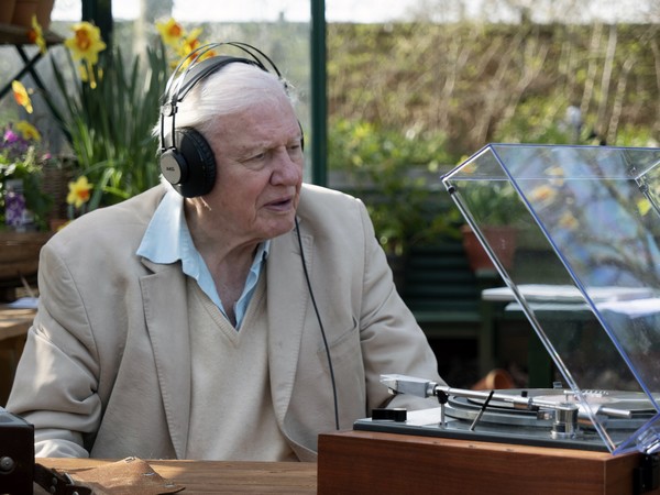 David Attenborough w programie „Attenborough i śpiew natury”, foto: Mike Birkhead Associates