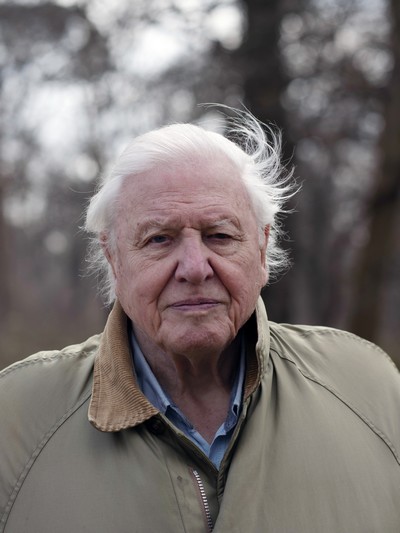 David Attenborough w programie „Attenborough i śpiew natury”, foto: Mike Birkhead Associates