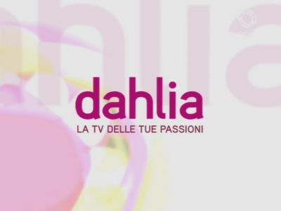 Dahlia Promo